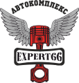 Логотип сервисного центра Expert66